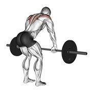 نمایش حرکت barbell rear delt row