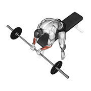 نیشاندانی barbell reverse wrist curl