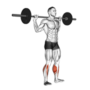 نمایش حرکت barbell standing rocking leg calf raise