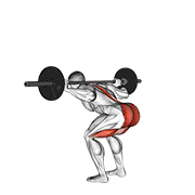 نیشاندانی barbell stiff leg good morning