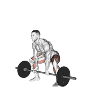 نیشاندانی barbell sumo deadlift