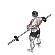 barbell upright row v. 2 demonstration