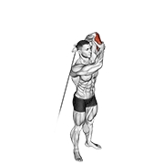 نیشاندانی cable alternate triceps extension