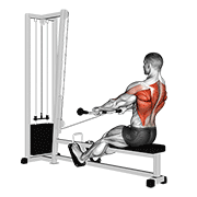 cable low seated row demonstration