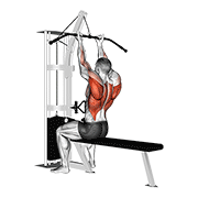 نمایش حرکت cable reverse-grip straight back seated high row