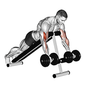 نمایش حرکت dumbbell prone incline curl