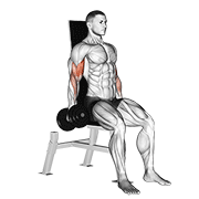 نمایش حرکت dumbbell seated inner biceps curl