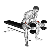نمایش حرکت dumbbell seated neutral wrist curl