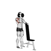 نیشاندانی dumbbell standing one arm palm in press