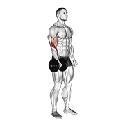 نیشاندانی dumbbell standing one arm reverse curl