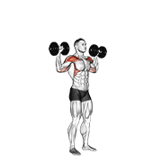 نیشاندانی dumbbell standing overhead press