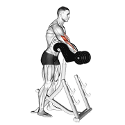 نیشاندانی dumbbell standing preacher curl