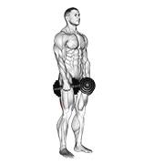 dumbbell stiff leg deadlift demonstration