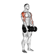 نیشاندانی dumbbell upright row