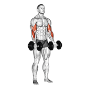 نیشاندانی dumbbell zottman curl