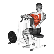 نیشاندانی lever alternating narrow grip seated row
