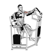 نمایش حرکت lever bicep curl