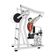 نمایش حرکت lever high row