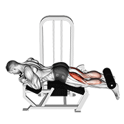 نمایش حرکت lever lying leg curl