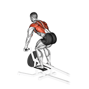 نمایش حرکت lever t bar row
