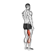 نمایش حرکت standing single leg curl