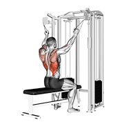 نمایش حرکت twin handle parallel grip lat pulldown