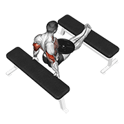 weighted bench dip demonstration