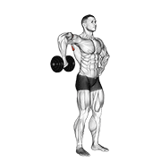 نیشاندانی dumbbell upright shoulder external rotation