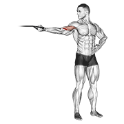 نیشاندانی band one arm overhead biceps curl