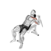 نمایش حرکت cable one arm incline press