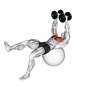 نمایش حرکت dumbbell one leg fly on exercise ball