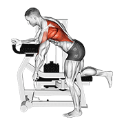 نمایش حرکت lever unilateral row