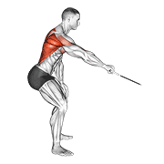 نمایش حرکت cable palm rotational row
