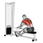 نمایش حرکت cable rope crossover seated row