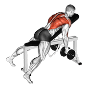 dumbbell reverse grip incline bench two arm row demonstration