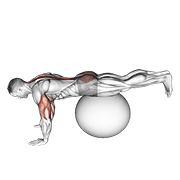 نیشاندانی exercise ball prone leg raise
