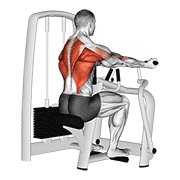 نمایش حرکت lever reverse grip vertical row
