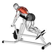 نمایش حرکت lever reverse t-bar row