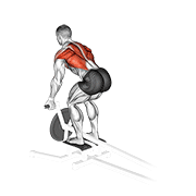 نمایش حرکت lever t-bar reverse grip row