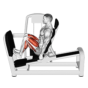 نمایش حرکت lever seated squat calf raise on leg press machine