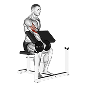 نمایش حرکت dumbbell one arm reverse preacher curl