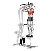 نمایش حرکت assisted standing chin-up