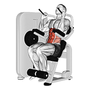 نمایش حرکت lever seated crunch