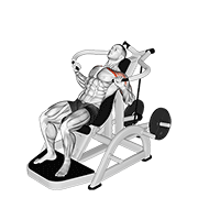 نمایش حرکت lever incline chest press v. 2