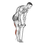 نمایش حرکت standing hamstring and calf stretch with strap