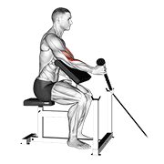 نمایش حرکت cable rope one arm hammer preacher curl