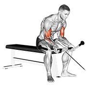 نمایش حرکت cable seated curl