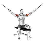 نمایش حرکت cable seated overhead curl