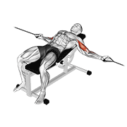 نیشاندانی cable two arm curl on incline bench