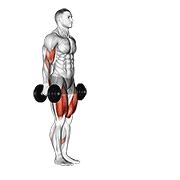 نمایش حرکت dumbbell lunge with bicep curl